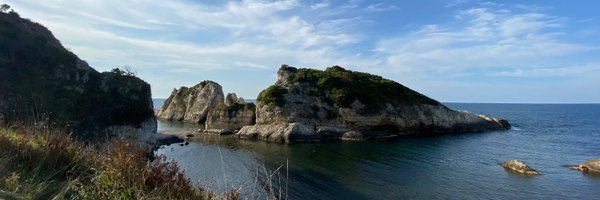 pekelselin_ Profile Banner