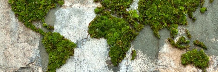 Matias Figliozzi banner