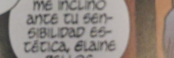 elainebelloc3 Profile Banner