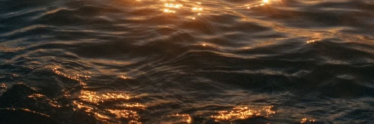 saandraasuarez's profile banner image