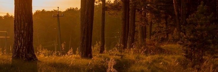 najjcol's profile banner image