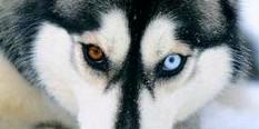 zulvirraaa's profile banner image