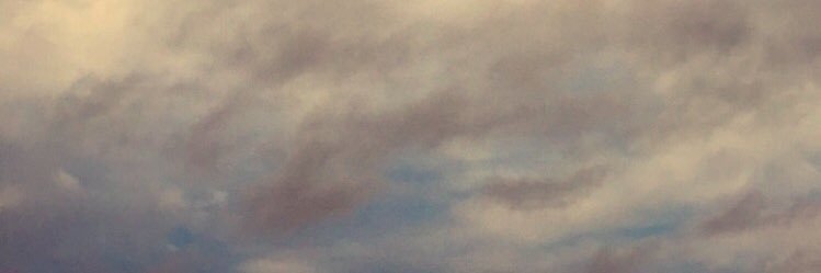 sheedalq's profile banner image