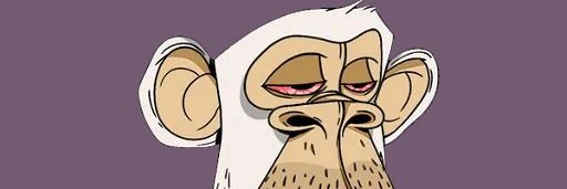 Park Kim Thang banner