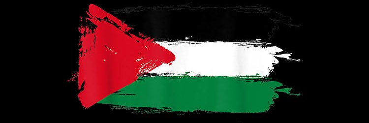 ꓘo₿a 🇵🇸 banner