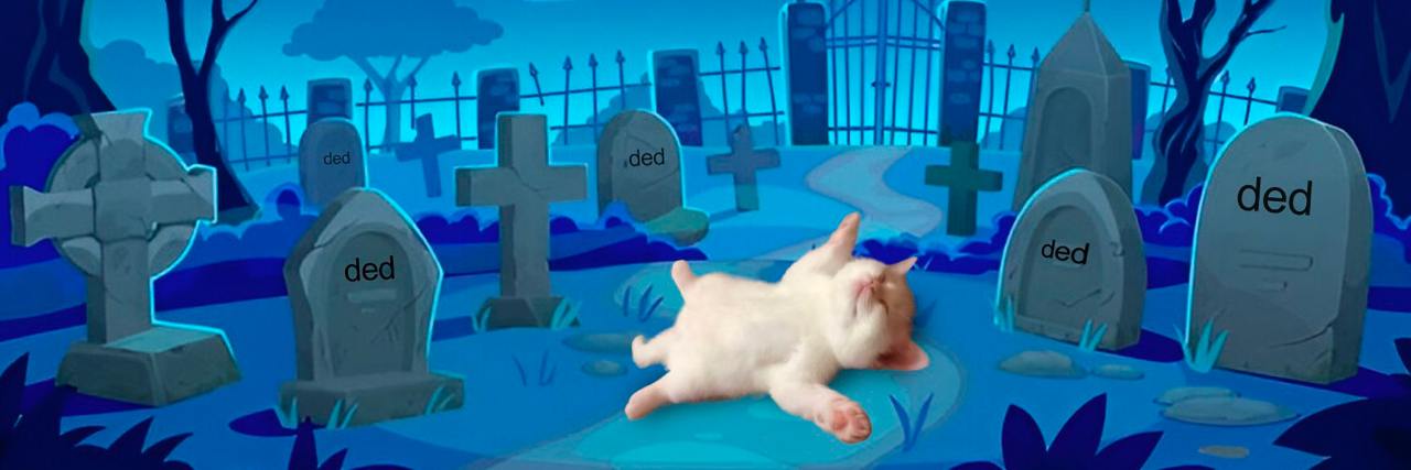 $DED CAT banner
