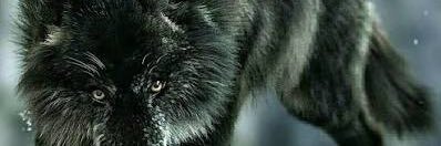 Azizoguz612's profile banner image