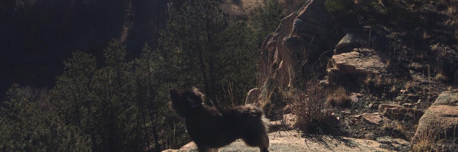 colefrick's profile banner image