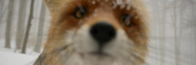 Z3dsss's profile banner image