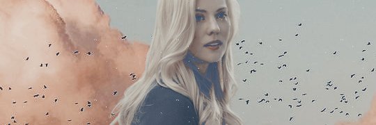 𝒔𝒐𝒏𝒈𝒃𝒊𝒓𝒅 banner