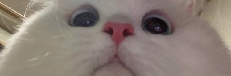anggi_modesly's profile banner image