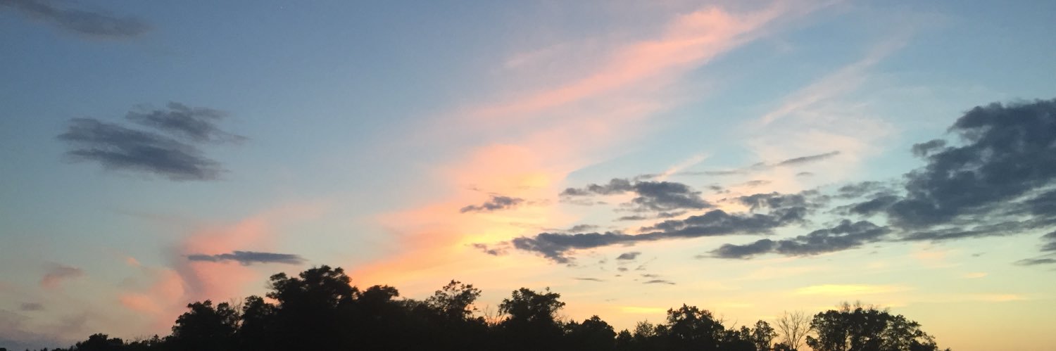 Alexandria Johnson banner