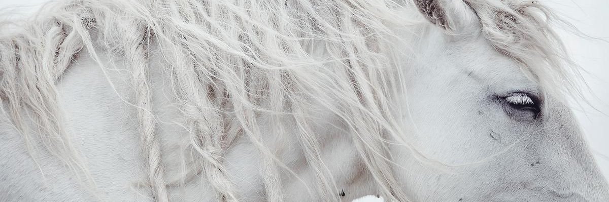 ⋆˚꩜｡ banner
