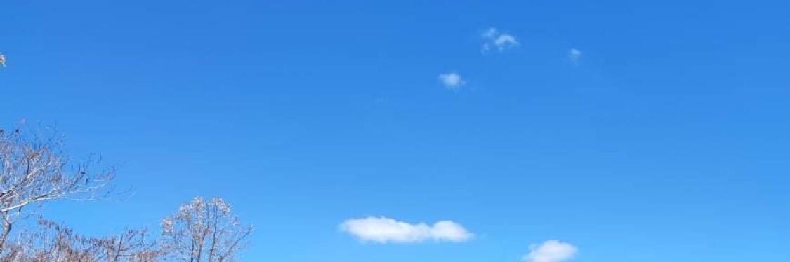 Wareejuck1's profile banner image