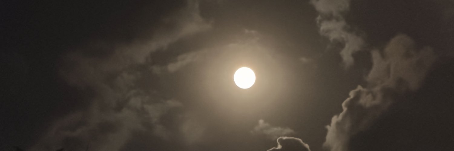 fridjv's profile banner image