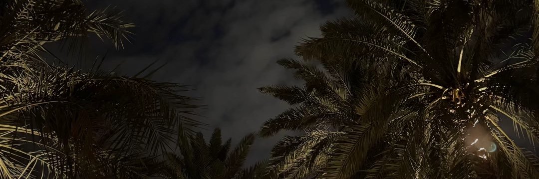 sarvh9's profile banner image