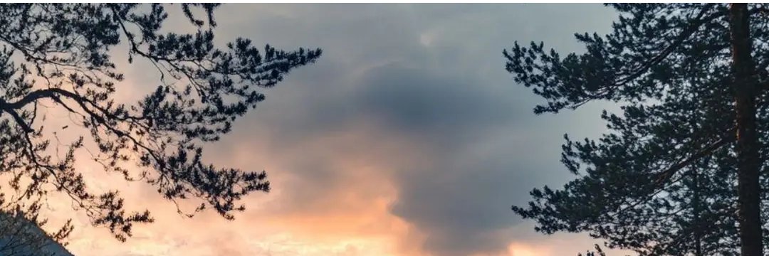 Penelope Hills banner