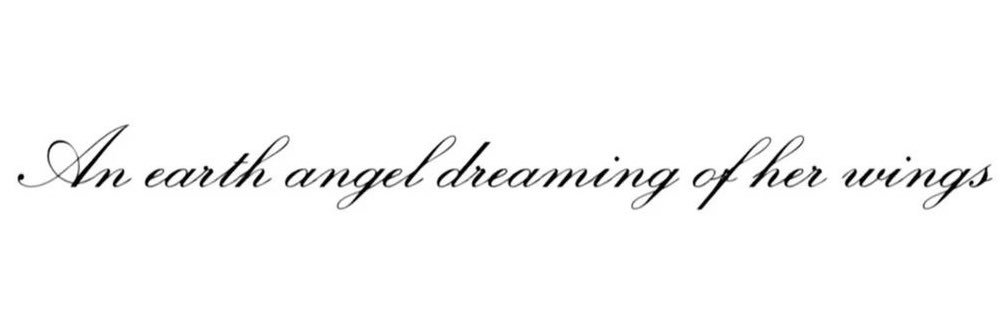 🐾 banner