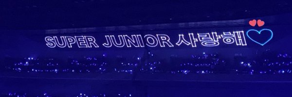 smirkyu Profile Banner