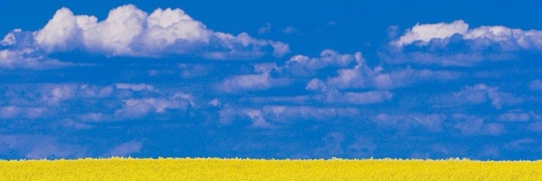maitainman's profile banner image