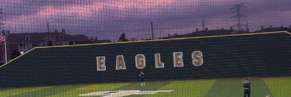 Falls_Softball Profile Banner