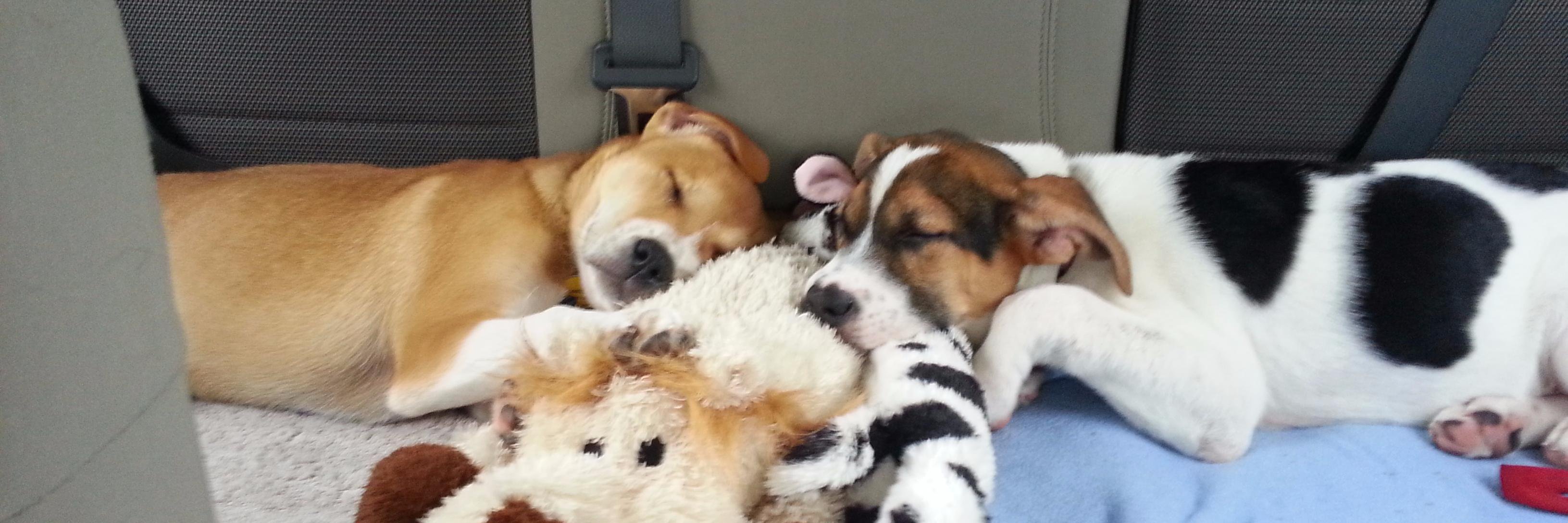 cfknudsen's profile banner image