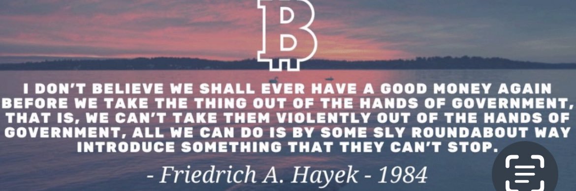 Gus H. Boldrini(BTC FAM)'s banner