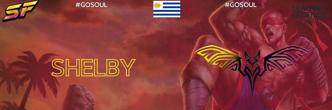 Shelby banner