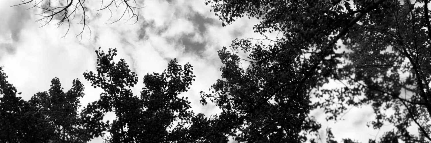 sarah k banner