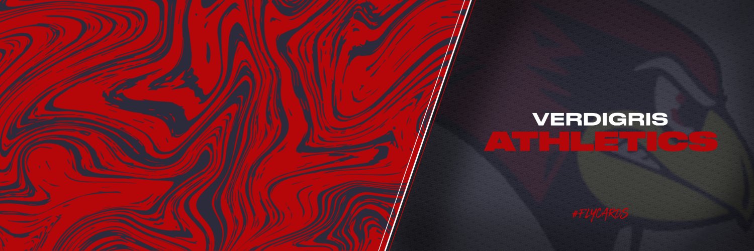Verdigris Athletics banner