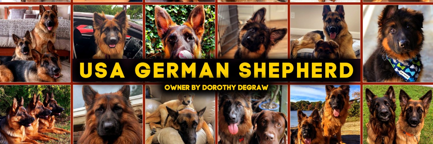 German Shepherd Lovers Community banner