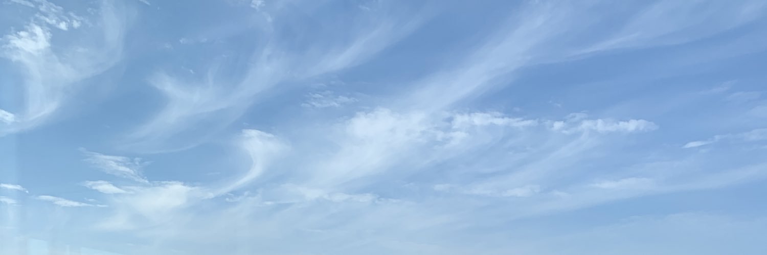 Shin_Octop's profile banner image