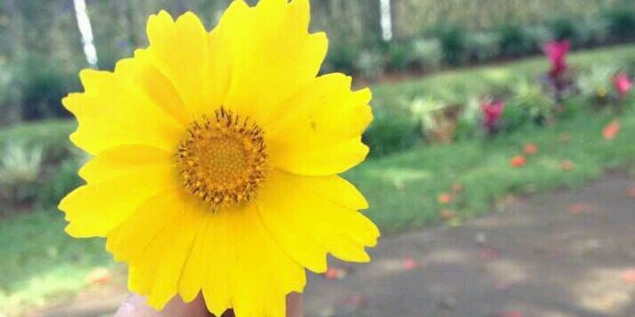 Rahmahmow's profile banner image