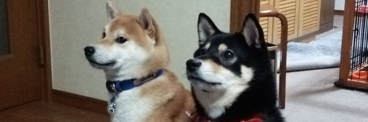 さとみ banner