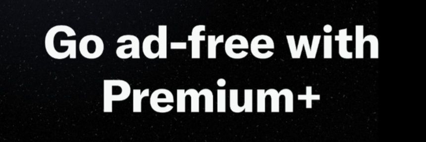 dewormy banner
