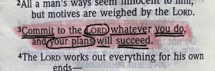 Nikia Roberts banner