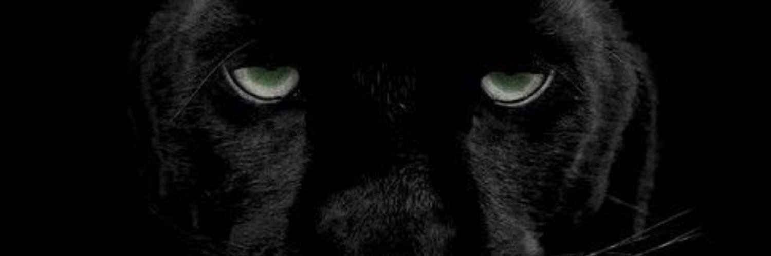L1Pizza's profile banner image