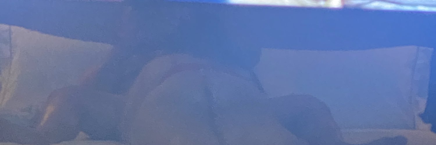 Daniel y Elena TJ banner