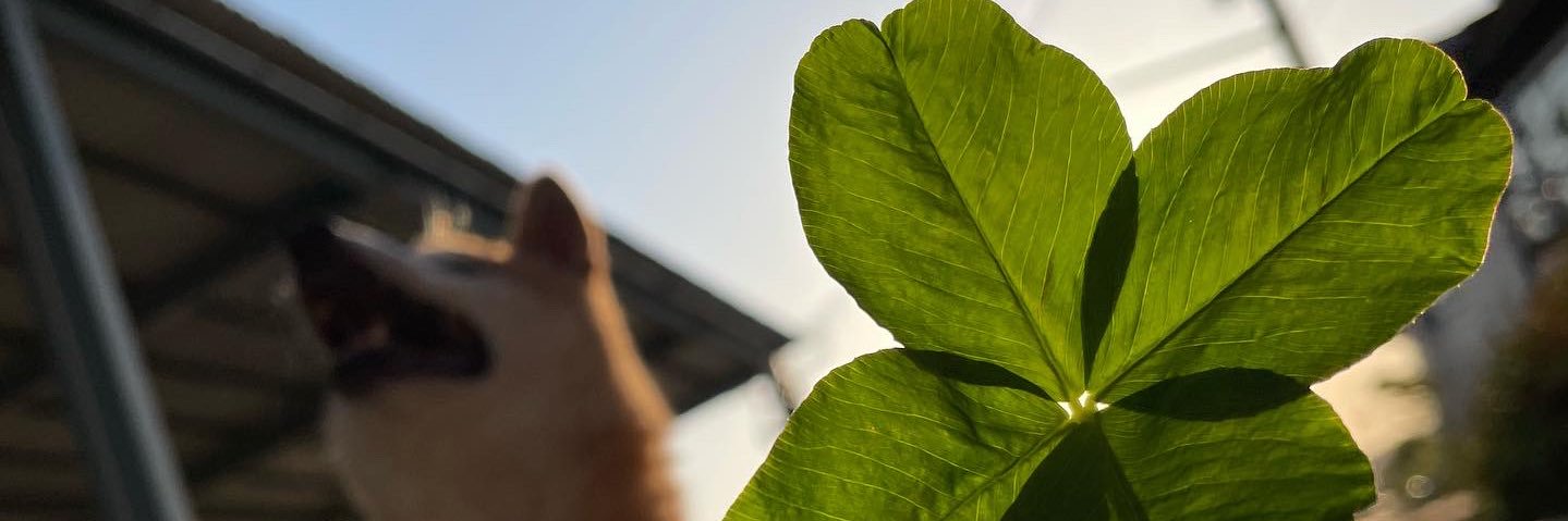 honoemon1030's profile banner image