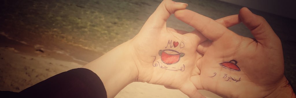 DinaSaif2's profile banner image