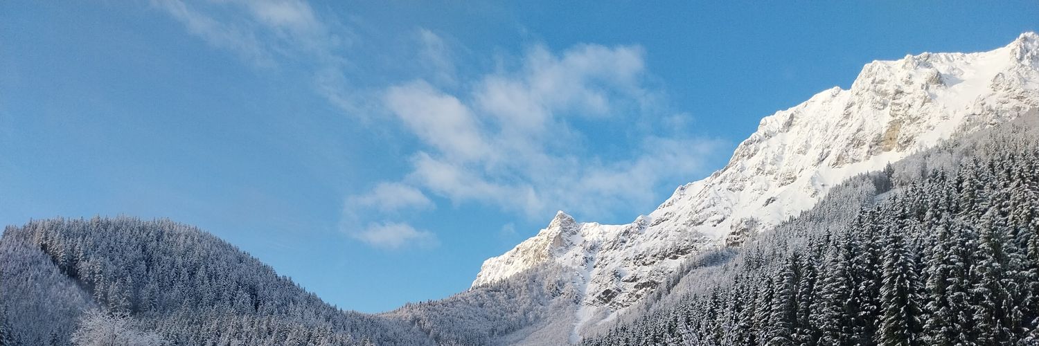 Octorez's profile banner image