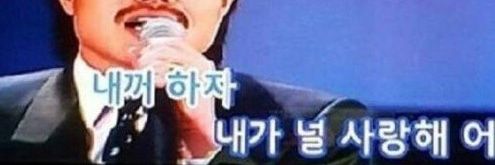 풀 뜯는 수달's banner