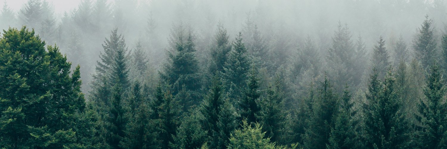 wscss's profile banner image