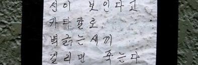 루피고무펀치 banner