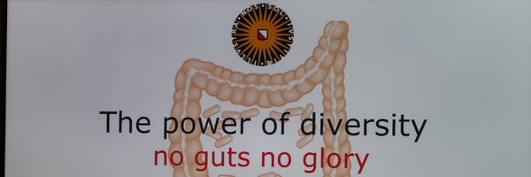 KraneveldAletta Profile Banner