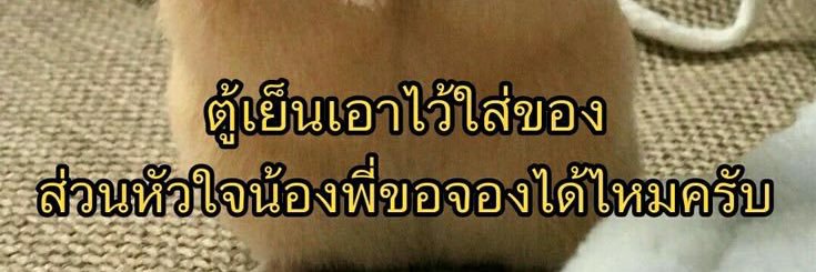 귀엽다 𐙚˚ banner