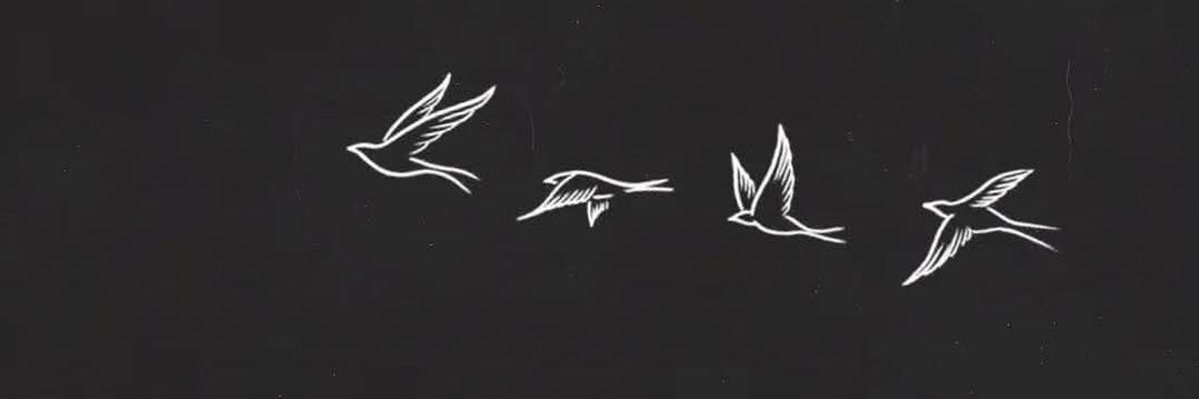 avocadell_'s profile banner image