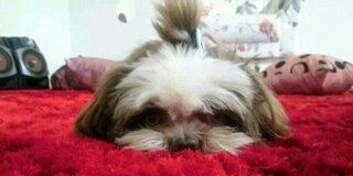 __isiszamonel's profile banner image