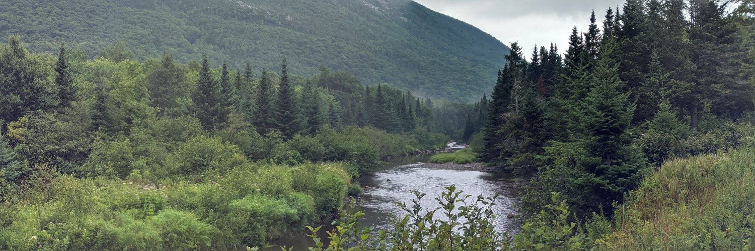 MaineLyon's profile banner image