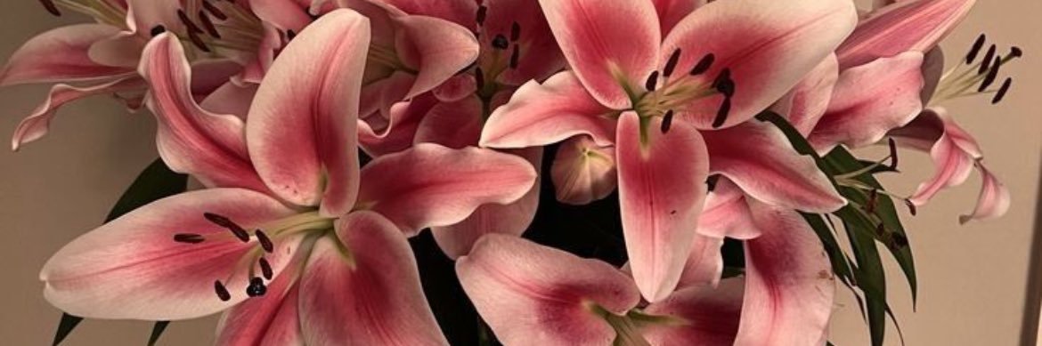 */ banner